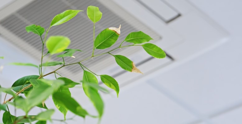 How ALH HVAC protects indoor air quality