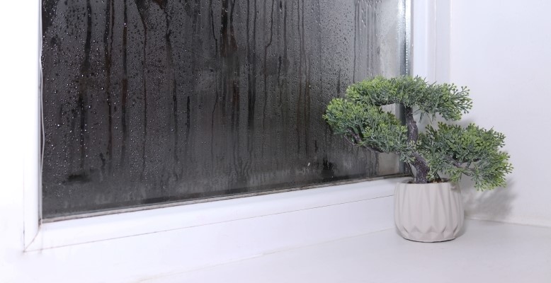 What is indoor air quality