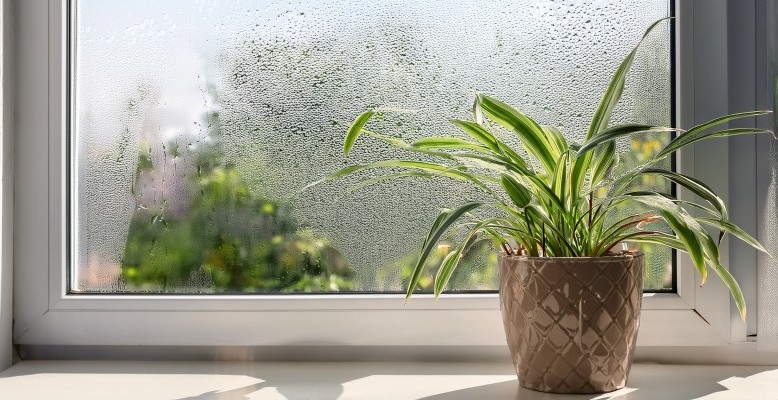 Home window with condensation due to high indoor humidity